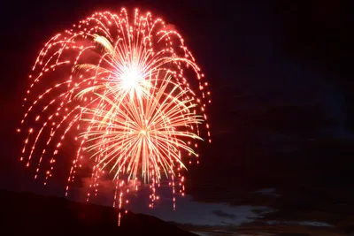 DSC_3344 (Large).JPG